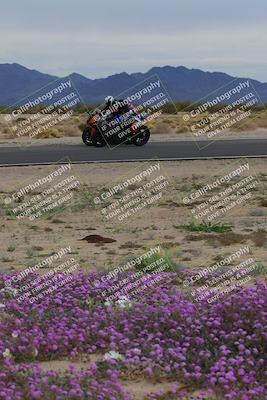 media/Jan-14-2023-SoCal Trackdays (Sat) [[497694156f]]/Turn 14 Exit Bloomig (145pm)/